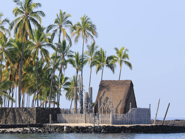 Historic Kona and Farm Tour